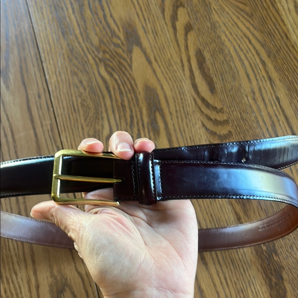 Leather and Brass COACH belt